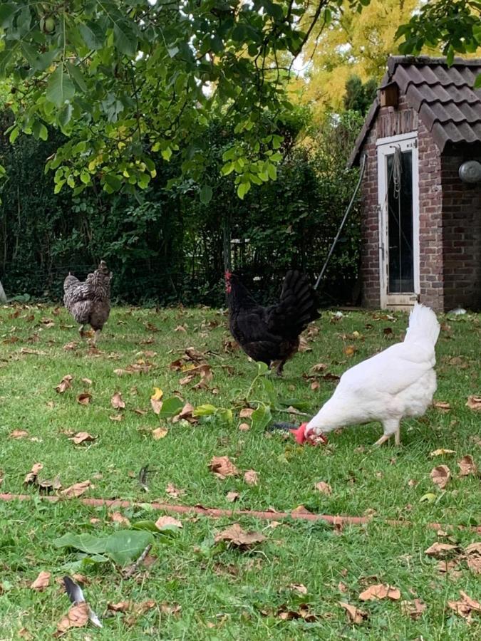 Leuk Vakantiehuisje 6P Brunssum Kültér fotó